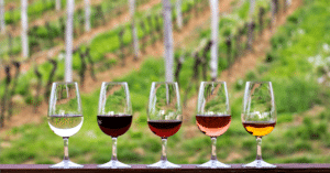 Hunter Valley Wine Tasting glasses